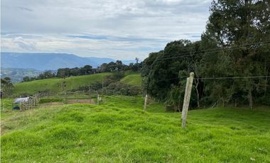 Vendo Finca Ganadera 66 cuadras Alto Boquerón