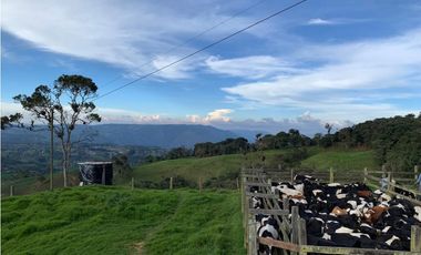 Vendo Finca Ganadera 66 cuadras Alto Boquerón