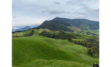 Vendo Finca Ganadera 66 cuadras Alto Boquerón
