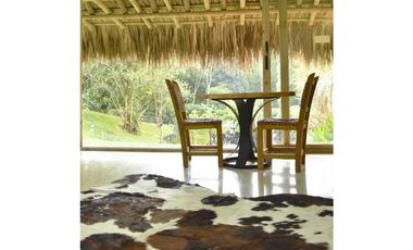 Vendo Espectacular Finca de 6 Cuadras Girardota