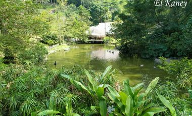 Vendo Espectacular Finca de 6 Cuadras Girardota