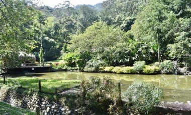 Vendo Espectacular Finca de 6 Cuadras Girardota