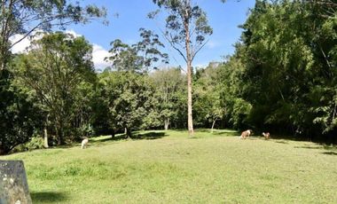 Vendo Espectacular Finca de 6 Cuadras Girardota