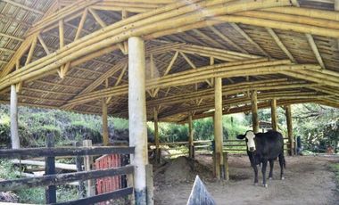 Vendo Espectacular Finca de 6 Cuadras Girardota