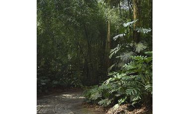 Vendo Espectacular Finca de 6 Cuadras Girardota