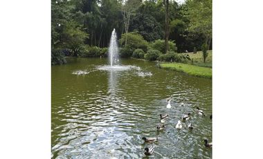 Vendo Espectacular Finca de 6 Cuadras Girardota