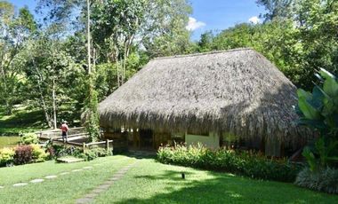 Vendo Espectacular Finca de 6 Cuadras Girardota