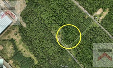 Lote Terreno 10.000m2 Sarandi Avellaneda  ZONA INDUSTRIAL DESARROLLO OPORTUNIDAD INVERSIÓN ACCESOS