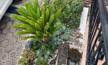 Casa en VENTA en San Nicolás Totolapan La Magdalena Contreras Tlalpan CDMX