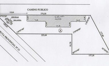 Ruta 21- Alvear - Galpón 3.000 m2.