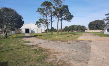 Ruta 21- Alvear - Galpón 3.000 m2.
