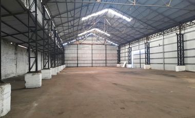 Ruta 21- Alvear - Galpón 3.000 m2.