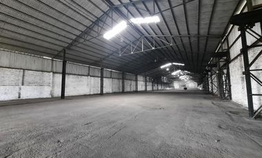 Ruta 21- Alvear - Galpón 3.000 m2.