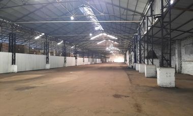 Ruta 21- Alvear - Galpón 3.000 m2.