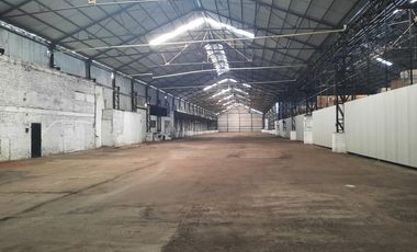 Ruta 21- Alvear - Galpón 3.000 m2.