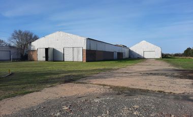 Ruta 21- Alvear - Galpón 3.000 m2.