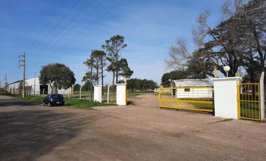 Ruta 21- Alvear - Galpón 3.000 m2.