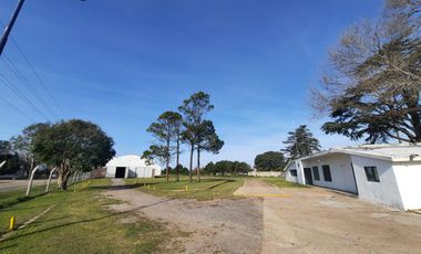 Ruta 21- Alvear - Galpón 3.000 m2.