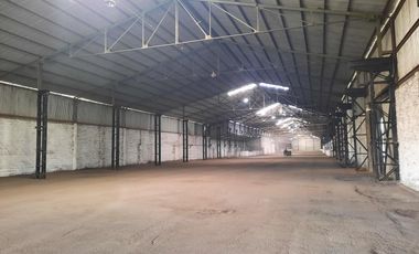 Ruta 21- Alvear - Galpón 3.000 m2.