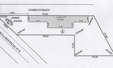 Ruta 21- Alvear - Galpón 6.000 m2.