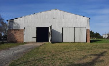 Ruta 21- Alvear - Galpón 6.000 m2.