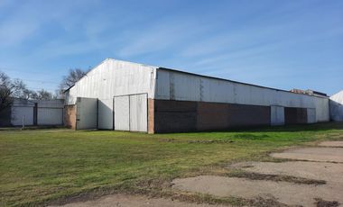 Ruta 21- Alvear - Galpón 6.000 m2.