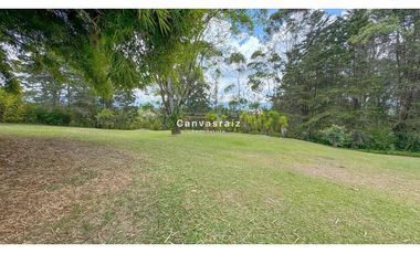 Finca Independiente Vereda Guamito Guarne