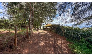 Finca Independiente Vereda Guamito Guarne