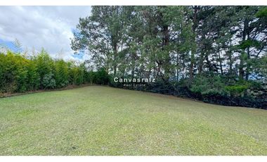 Finca Independiente Vereda Guamito Guarne