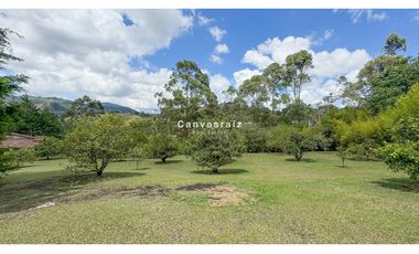 Finca Independiente Vereda Guamito Guarne