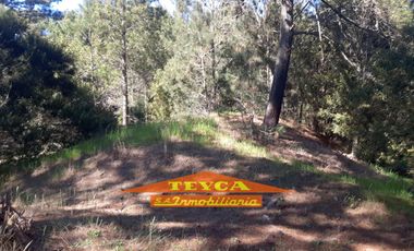 VENTA, LOTE Pinamar Norte, SUPER OPORTUNIDAD!!!