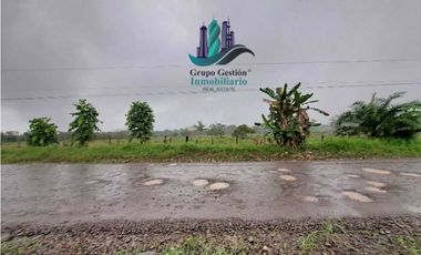 VENDO PROPIEDAD FRONTERIZO 2 CALLES COLINDANTE TICO-PANAMEÑO