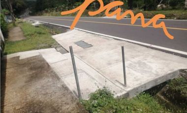 VENDO PROPIEDAD FRONTERIZO 2 CALLES COLINDANTE TICO-PANAMEÑO