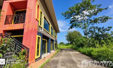Land for sale in Tha Sut, Chiang Rai