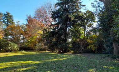 Venta casa Dos Ambientes  Vicente Melazzi - Ezeiza. Quinta