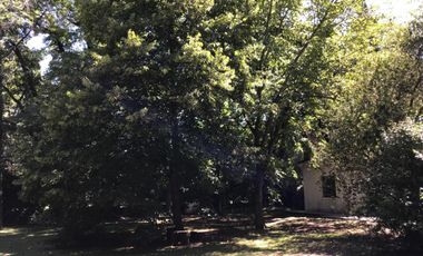 Venta casa Dos Ambientes  Vicente Melazzi - Ezeiza. Quinta