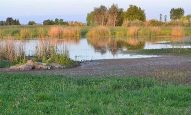 VENTA LOTE DE CHACRA EN SANTA MARIA DE LOBOS