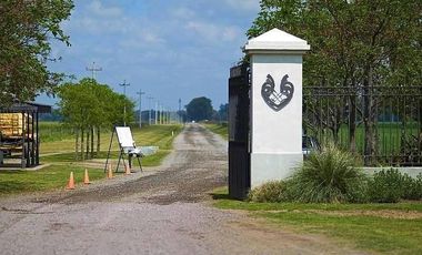 VENTA LOTE DE CHACRA EN SANTA MARIA DE LOBOS