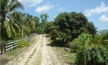Vendo Finca San Antero - Córdoba