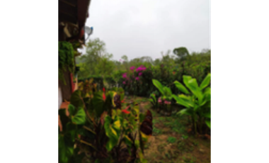 Casa en venta en el Corregimiento Palermo,Támesis S/368