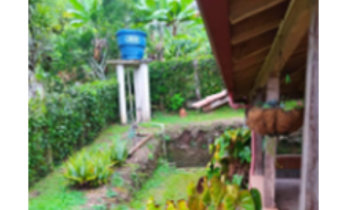 Casa en venta en el Corregimiento Palermo,Támesis S/368