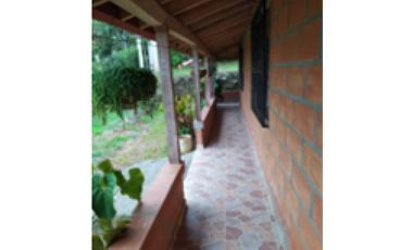 Casa en venta en el Corregimiento Palermo,Támesis S/368