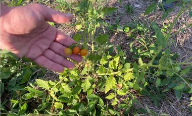 Lote En Condominio Campestre Monte Lagos En La Mesa Cundi