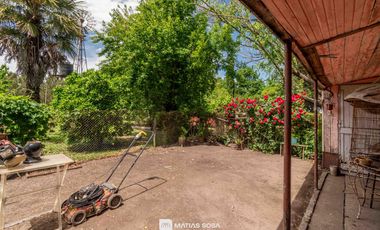 Venta - Campo - 5 hectáreas - Frutales