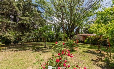 Venta - Campo - 5 hectáreas - Frutales
