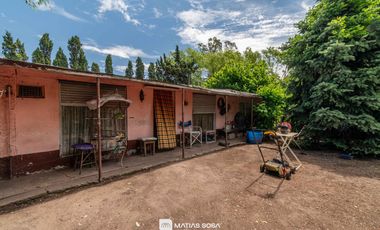 Venta - Campo - 5 hectáreas - Frutales