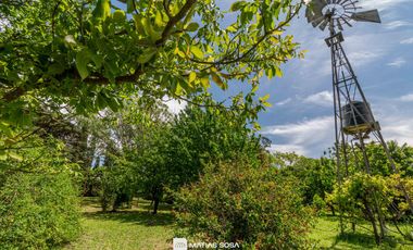 Venta - Campo - 5 hectáreas - Frutales