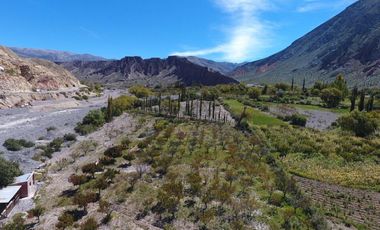 Terreno paradisiaco de 13.000 m2 en Purmamarca