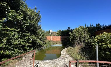 Casa - Wilde