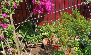 Casa en Venta en Cercano a sector de Mirador viejo